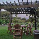 uyen nguyen Profile Picture