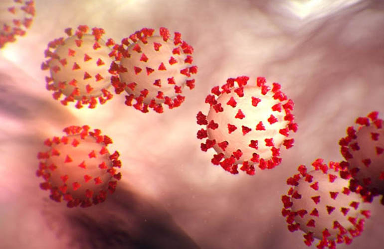 Vitamin C: A New Weapon Hospitals are Using to Combat Coronavirus - Whole World Botanicals
