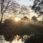 Beth Profile Picture