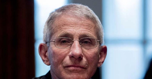 Fauci on CNN's Tapper Show: Earlier Mitigation Could Have Saved Lives