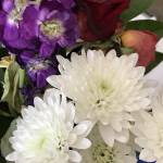 GBM2020 Profile Picture