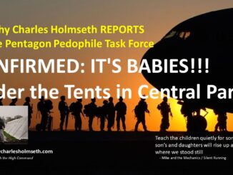 Babies in tunnels – Timothy Charles Holmseth REPORTS