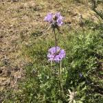 Wanda Deal Profile Picture