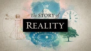 The Story of Reality