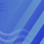 Anna R. Profile Picture