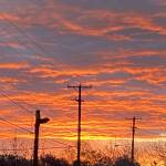 Anne Weigel Profile Picture