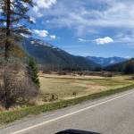 Daanan Mahn Profile Picture