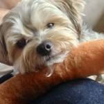 Kellydemarce Profile Picture