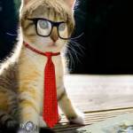 spollucci Profile Picture