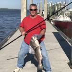 Mark Jalanivich Profile Picture