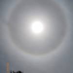 Annie51 Profile Picture