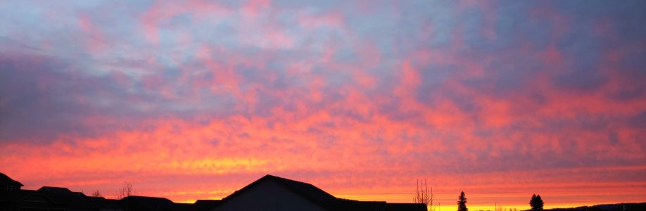 Mary Swoboda Cover Image