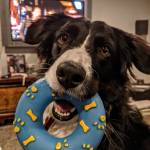 Brian Gray Profile Picture