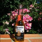 Chisos Profile Picture