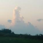 katiejp2 Profile Picture