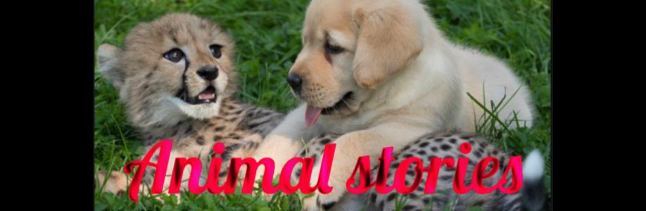 Animal Stories Cover Image