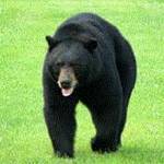 Mary Ellen Huffman Profile Picture