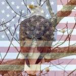 Tracy Hines Profile Picture