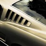 Nicholas Gilman Profile Picture