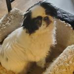 Kelly Thomas Profile Picture