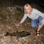 Crystal Johnson Profile Picture