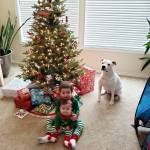 mark 1955 krampits Profile Picture