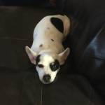 JohnnyDunn Profile Picture