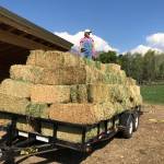 Tara Tarbet Profile Picture