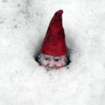 MommaC Profile Picture