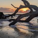 TammyB Profile Picture