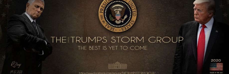 THE TRUMPS STORM GROUP Cover Image
