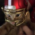 Brenda Schritter Profile Picture