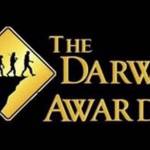 Darwin Award Profile Picture