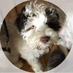 Conrad Senior Profile Picture