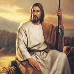 Roy Wolf Profile Picture