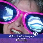 judy johnson Profile Picture