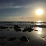 Susan Sharp Profile Picture