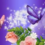 AlissonWalter Profile Picture