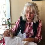 Dorothy Boutwell Profile Picture