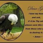 Mary Sue Davis Profile Picture