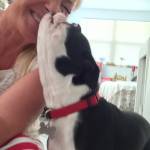 HeikeConroy profile picture