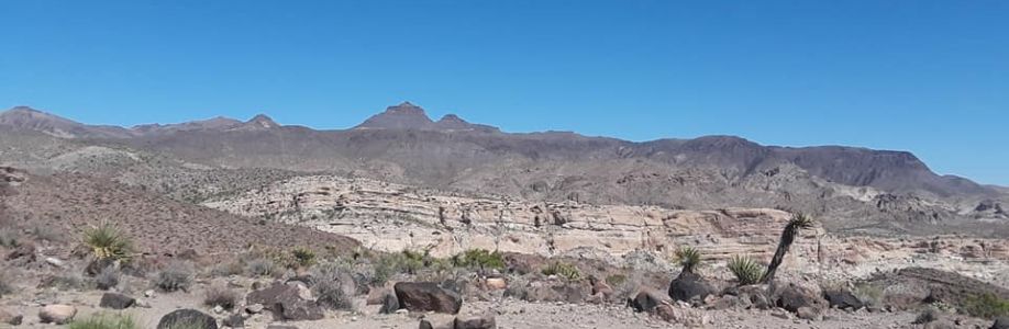 Melvin Bozell Cover Image