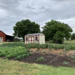 Karen Hauserman Profile Picture