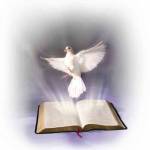 Stephan Bobillier Profile Picture