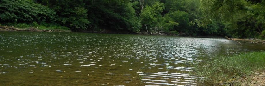 Robin Savageau-Welch Cover Image