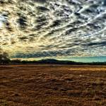 Rick Holliday Profile Picture