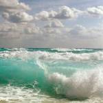 Hollis Isley Profile Picture