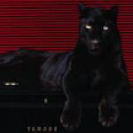 Jeff Boyle Profile Picture