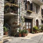 Debbie Weisman Profile Picture