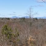 Jess Dunaway Profile Picture